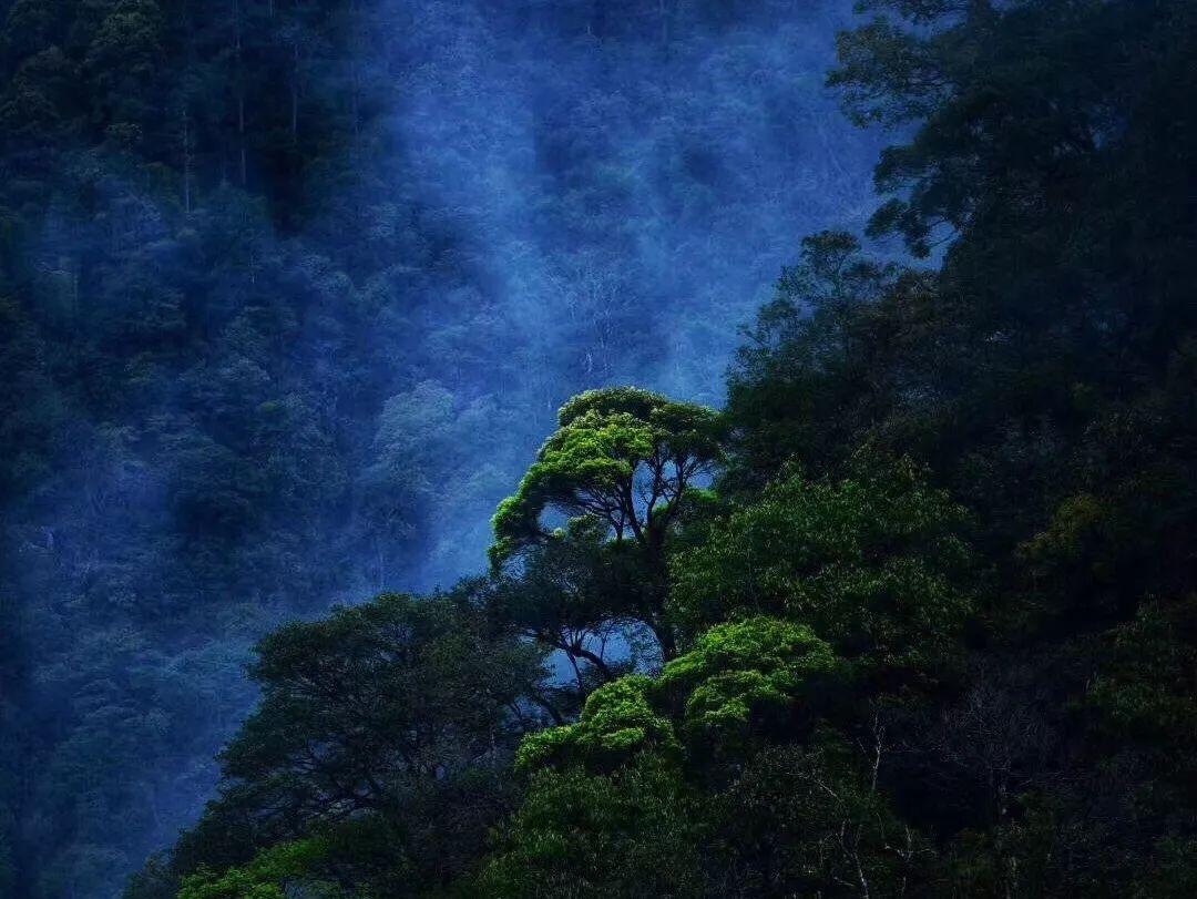 窃贼主动走进派出所睡觉，民警一眼认出当场抓获