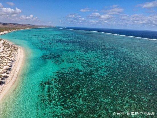 贵阳康养职业大学举行离退休教职工新年团拜活动