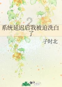 【煤矿瓦斯天天学】544 单孔瓦斯抽采考核和分析机制
